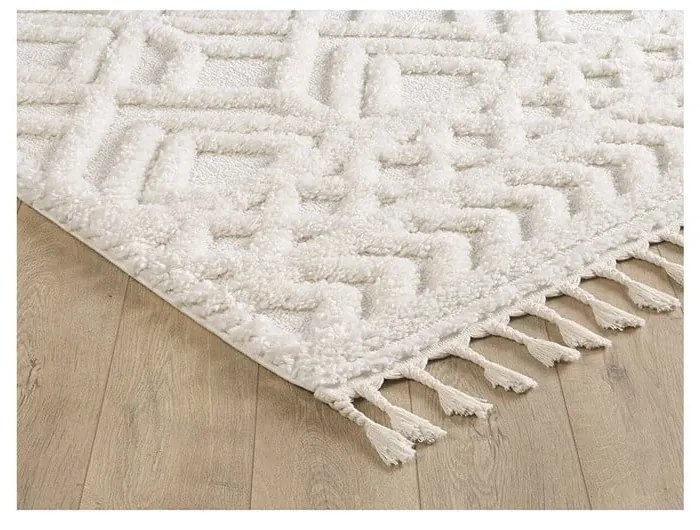 Beżowy dywan 170x120 cm Shaggy – Mila Home