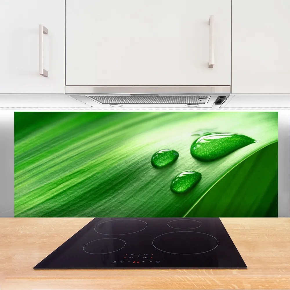 Panel Szklany do Kuchni Perlista Rosa Na Liściu