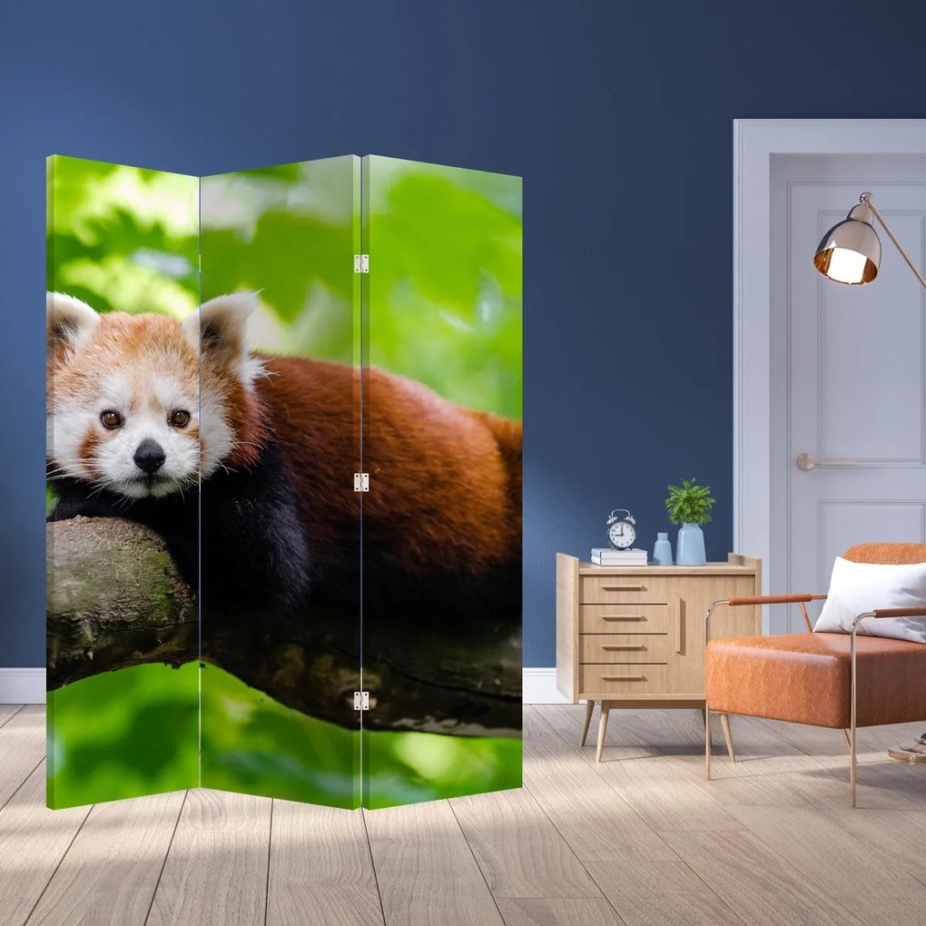 Parawan - Panda czerwona (126x170 cm)