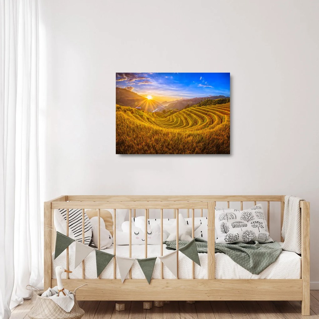 Obraz na szkle - Pole ryżowe w Wietnamie (70x50 cm)