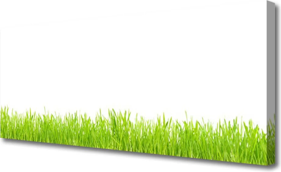 Obraz drukowany na płótnie Soczysty Naturalny Trawnik