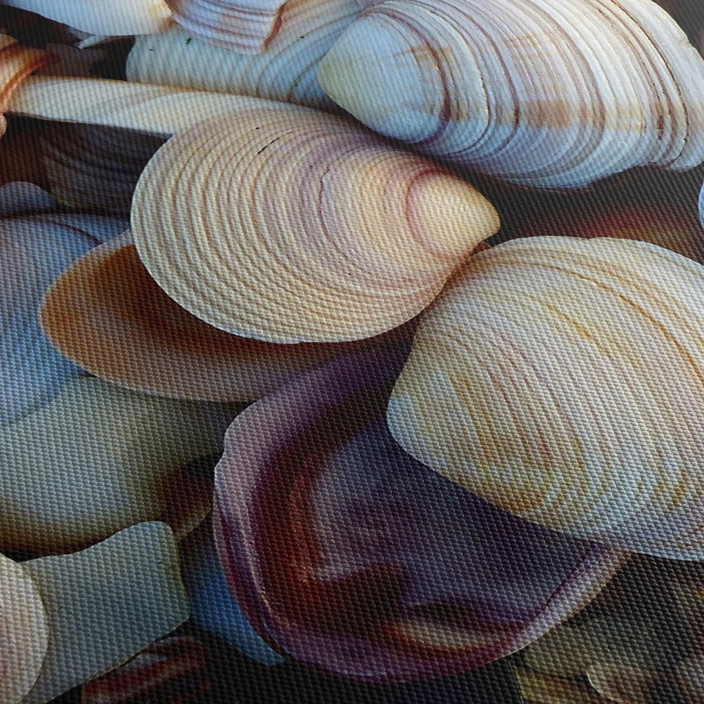 Obraz muszelek (z zegarem) (90x30 cm)