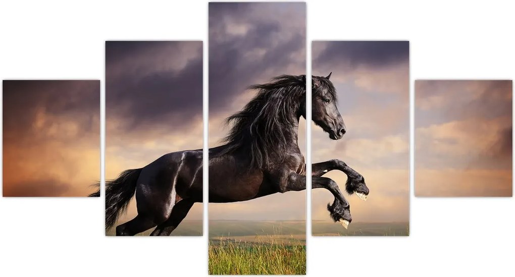 Obraz - Konie (125x70 cm)