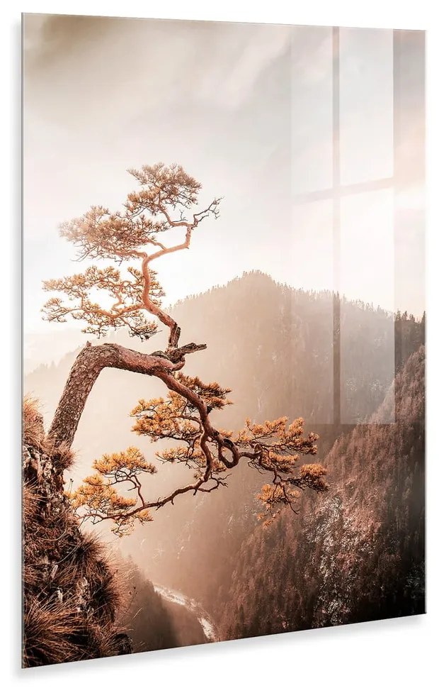 Szklany obraz 50x70 cm Brown Tree – Styler