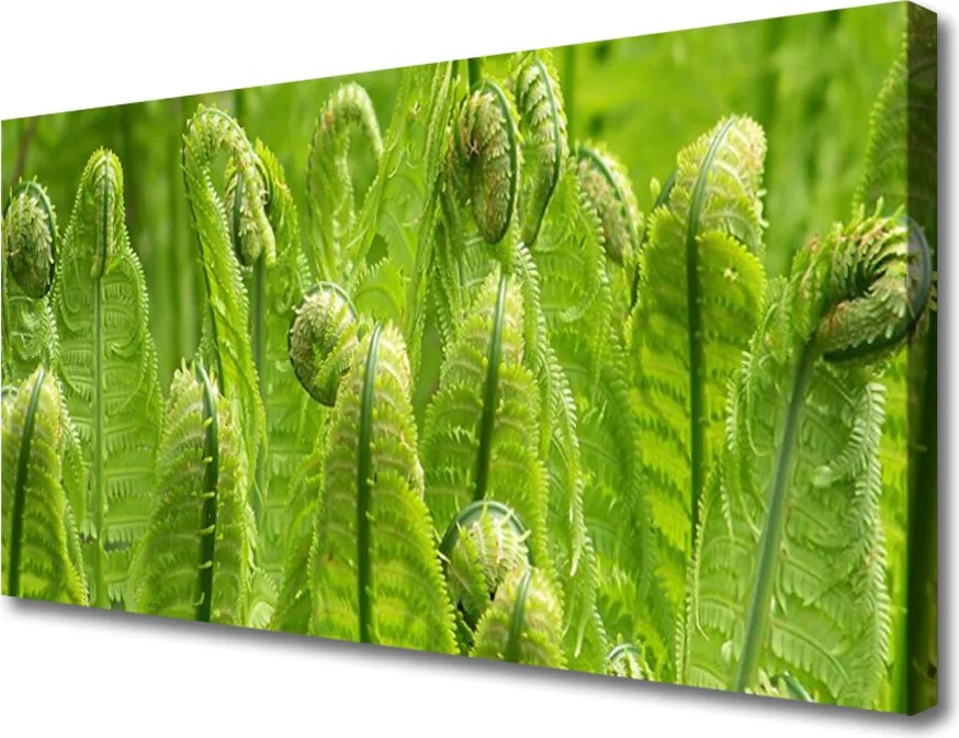 Obraz canvas Świeżość Zielonych Liści