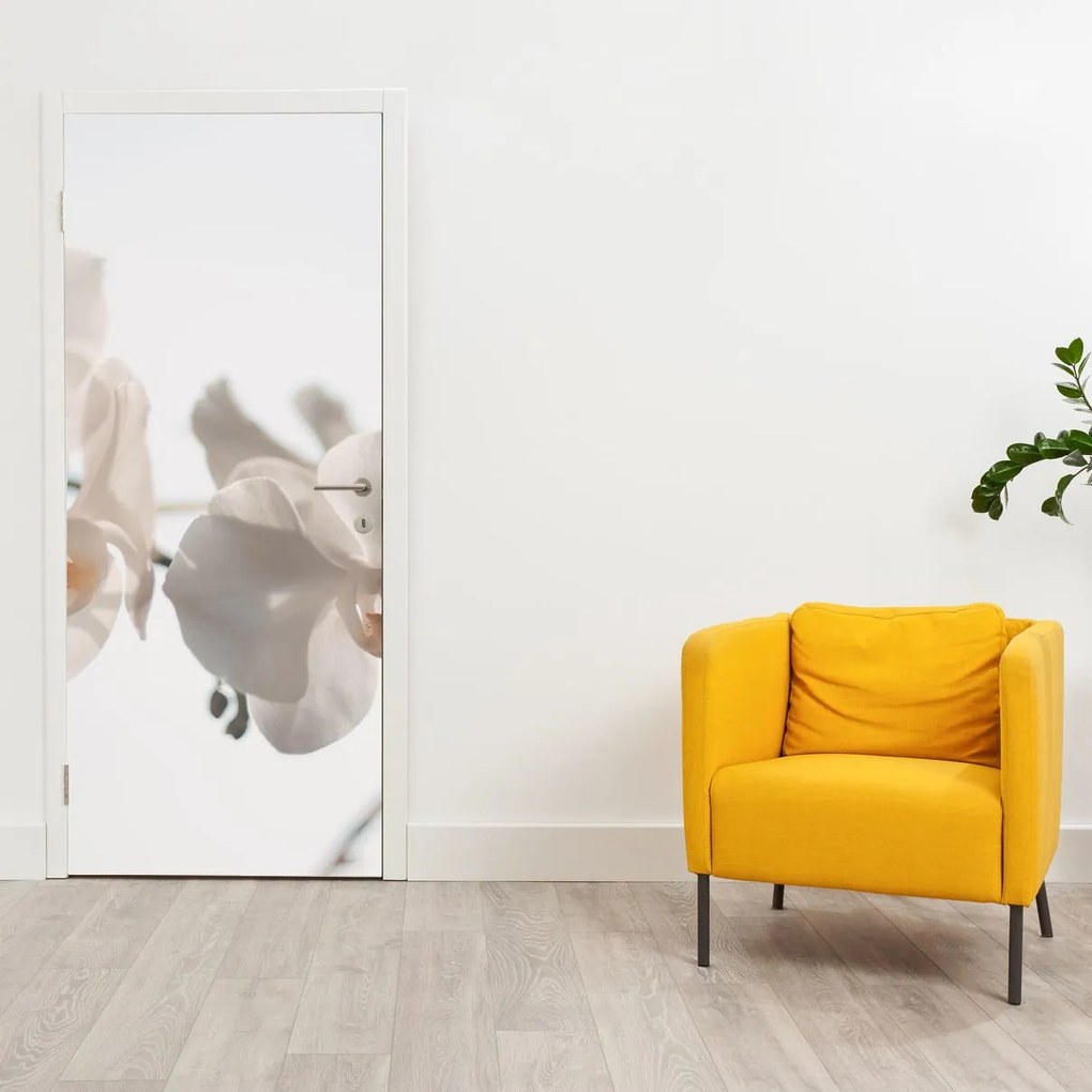 Fototapeta na drzwi - Białe orchidee (95x205cm)