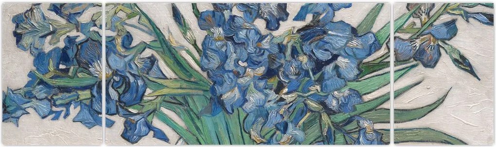 Obraz - Vincent van Gogh, Irises, reprodukcje (170x50 cm)