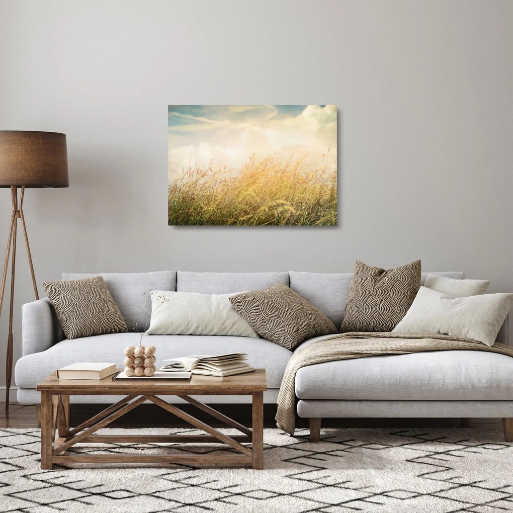 Obraz na szkle - Pole jesienią (70x50 cm)