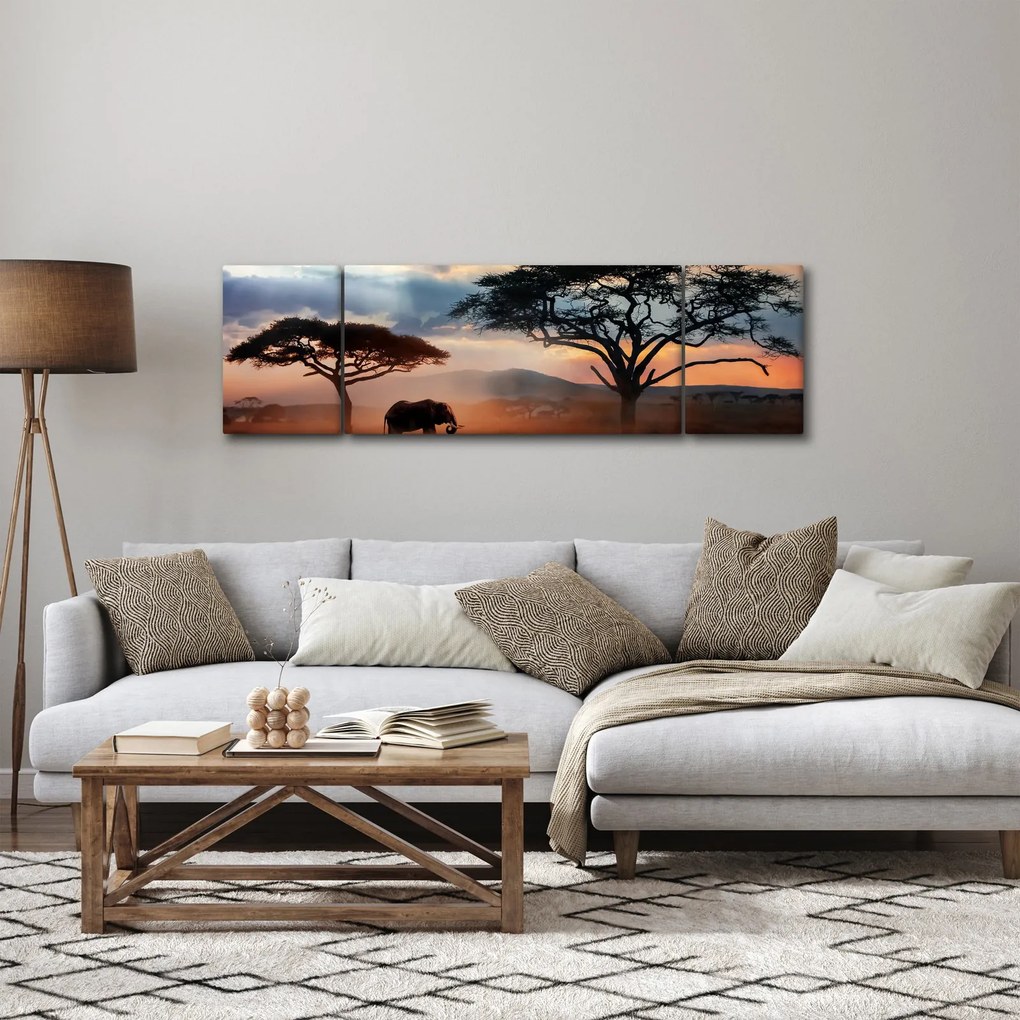 Obraz - Park Narodowy Serengeti, Tanzania, Afryka (170x50 cm)