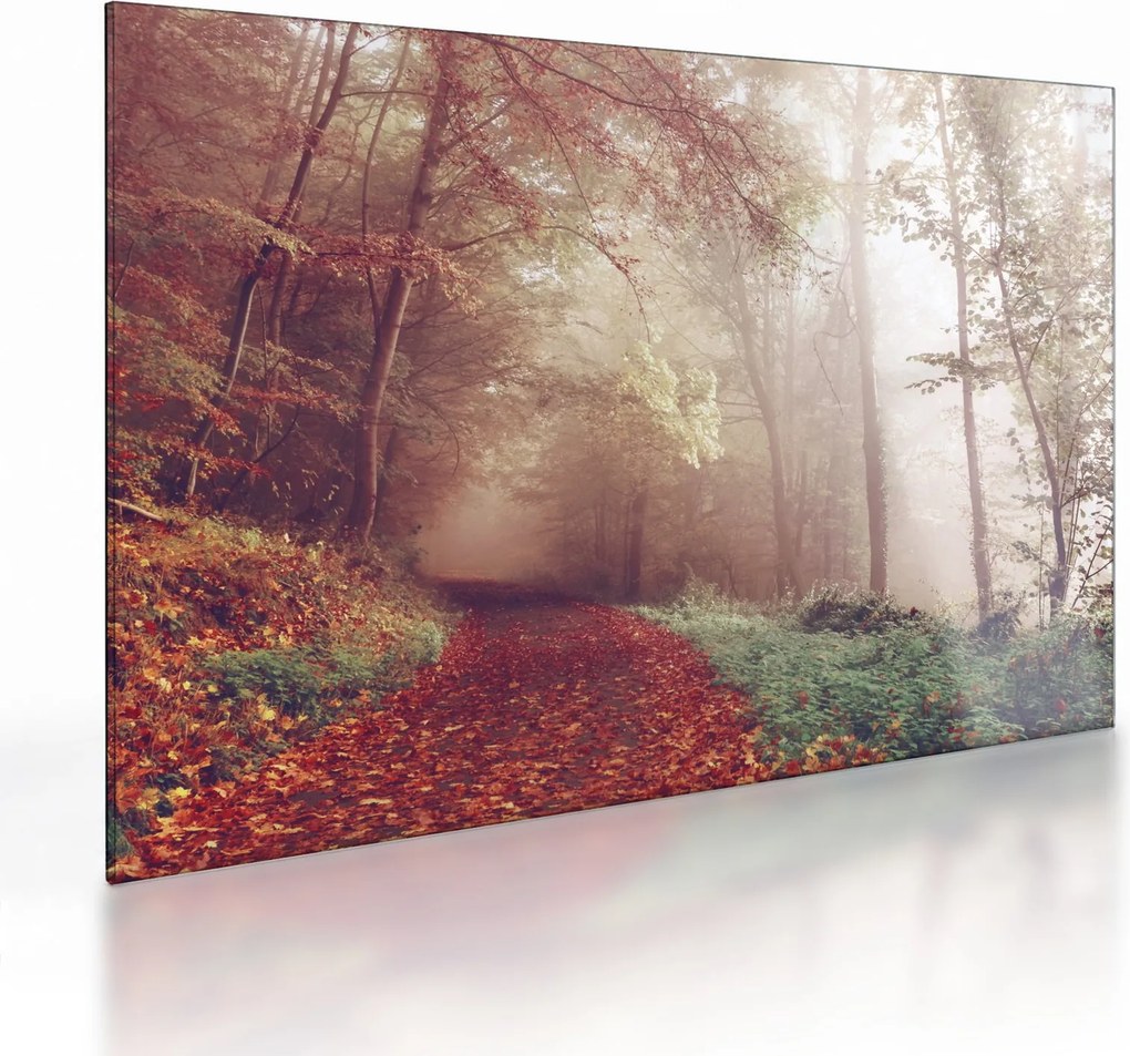 Obraz na szkle - Jesienny spacer po lesie (70x50 cm)