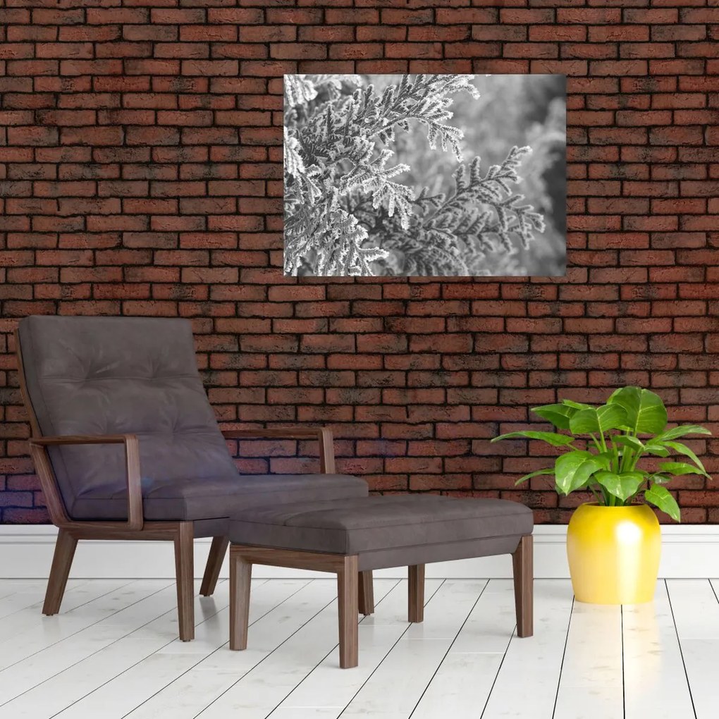 Obraz - Las świerkowy (70x50 cm)