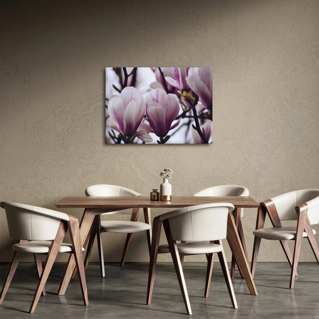 Obraz - Magnolia (70x50 cm)
