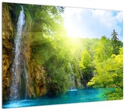 Obraz - wodospady w pralesie (70x50 cm)