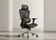 Fotel biurowy Ergo Omega czarny oferuje maksymalny komfort i nowoczesny design! Regulacja lędźwiowa, podłokietniki 4D, oddychająca siatka Mesh i chromowana podstawa. Idealny do pracy.