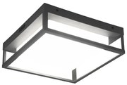 Kinkiet zewnętrzny LED (wys. 10 cm) Witham – Trio