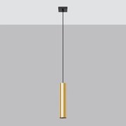Lampa Wisząca LAGOS 1 złoty połysk SOLLUX  LIGHTING