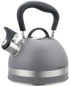 Szary tradycyjny czajnik z gwizdkiem na indukcję R9-N73