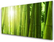 Panel Kuchenny Bambus Roślina