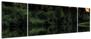 Obraz jeziora przy lesie (170x50 cm)