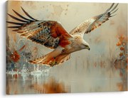 Obraz - Ptak drapieżny (70x50 cm)