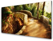 Panel Szklany Most Drzewa Architektura