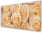 Panel Kuchenny Róże Kwiaty Roślina