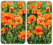 Szklane płyty ochronne na kuchenkę, POLE MAKU - 2 sztuki, WENKO