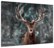 Obraz - Majestatyczność jelenia (70x50 cm)