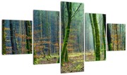 Obraz lasu (125x70 cm)