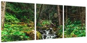 Obraz strumienia w lesie (z zegarem) (90x30 cm)