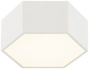 Argon 8781 - LED Plafon LIBERO LED/12W/230V 3000K biały
