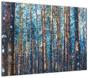 Obraz - Zimowy las (70x50 cm)