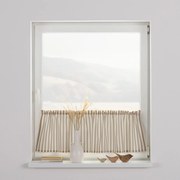 Zazdrostka prosta na metry