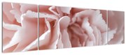 Obraz - Szczegół kwiatu (170x50 cm)