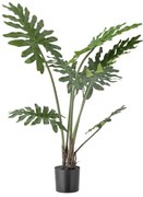 Sztuczny kwiat (wysokość 84 cm) Philodendron – Bloomingville