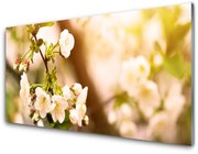 Obraz Akrylowy Kwiaty Roślina Natura