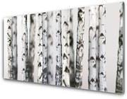 Panel Szklany Drzewa Natura