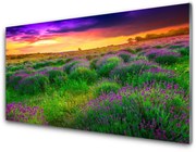 Panel Kuchenny Łąka Natura