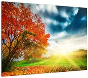 Obraz na szkle skąpanego w słońcu krajobrazu (70x50 cm)