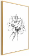 Plakat Rysowane kwiaty 60x90 cm z ramą złotą z marginesem ARTGEIST B