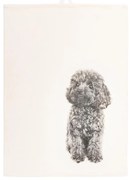 Bawełniana ścierka 70x50 cm Farm – Tiseco Home Studio