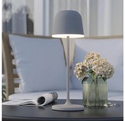 Eglo 900458 - LED ściemnialna lampa zewnętrzna MANNERA 2,2W/5V 1800 mAh szara IP