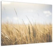 Obraz ziarna (70x50 cm)