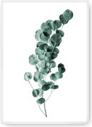 Plakat Eucalyptus Emerald Green
