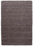 Brązowy dywan 80x150 cm Life – Ayyildiz Carpets