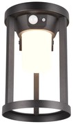 Lampa zewnętrzna LED z czujnikiem ruchu (wysokość 21 cm) Carmo – Trio