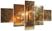 Obraz - Zaśnieżony park (125x70 cm)
