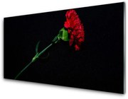 Panel Kuchenny Kwiat Roślina Natura