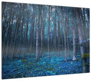 Obraz - Magiczny las (70x50 cm)