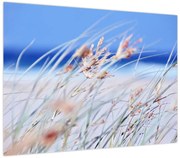 Obraz - Bryza (70x50 cm)